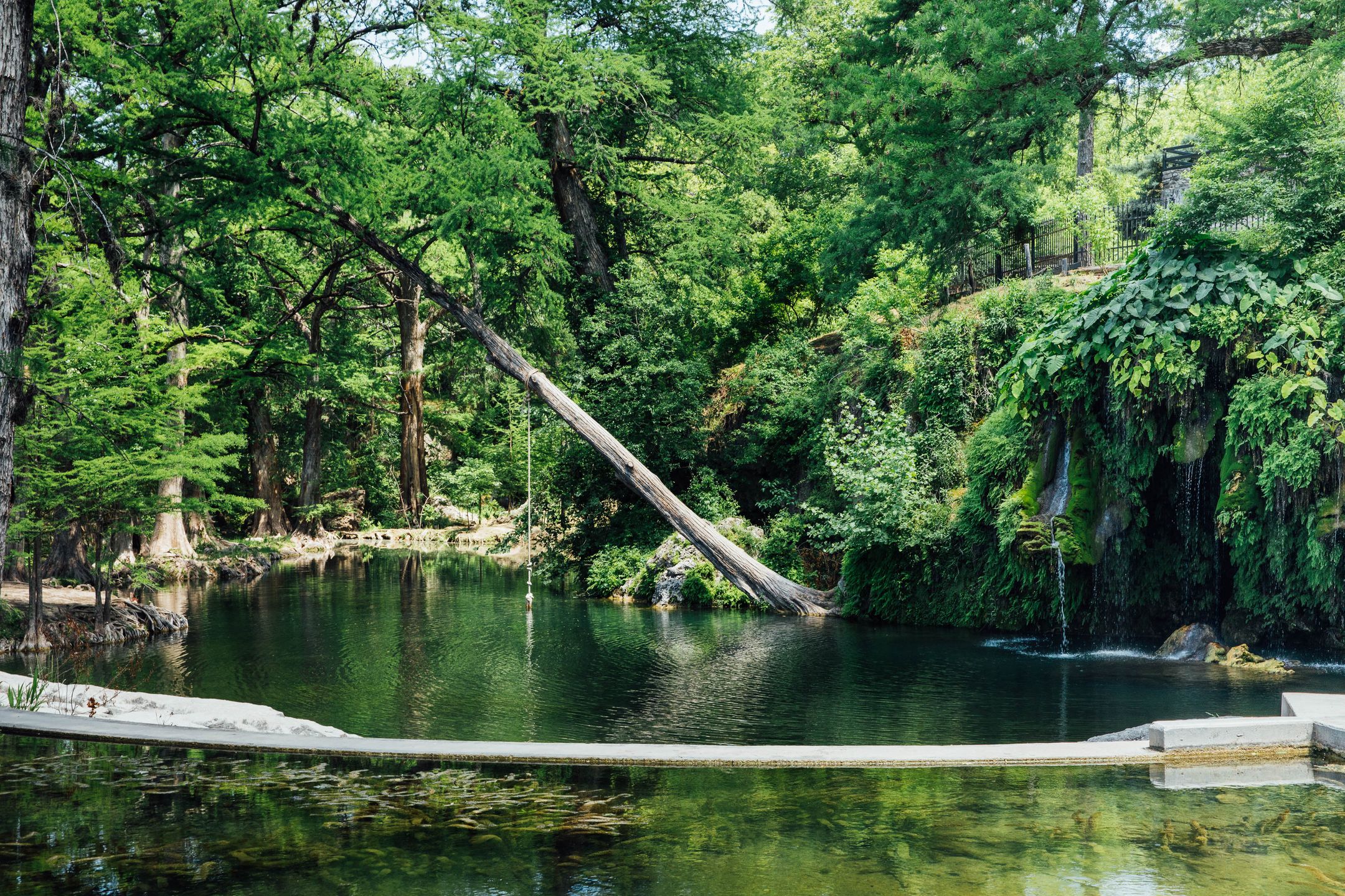 Krause Springs Texas