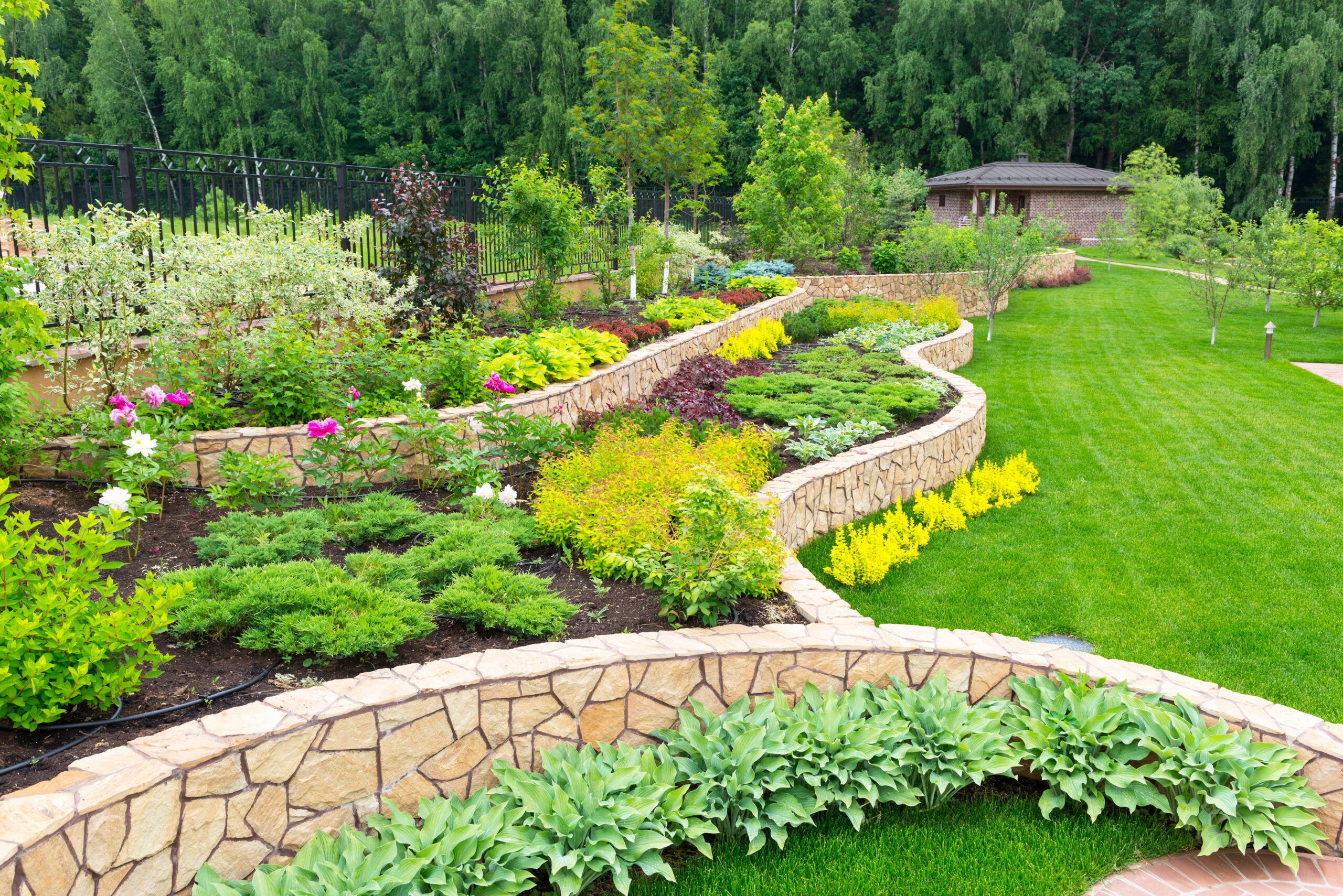 Beautiful natural landscaping in the back yard