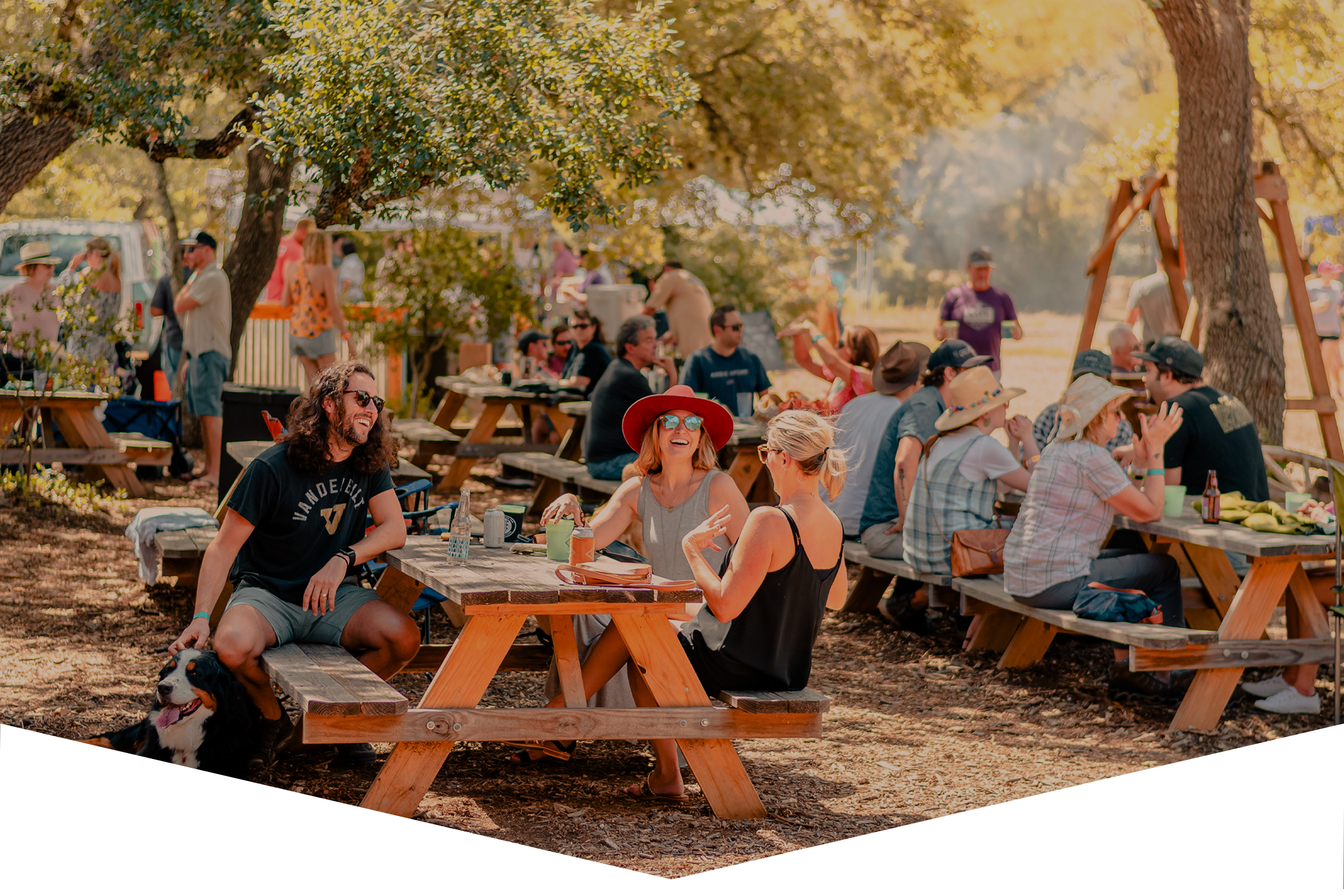 Locals enjoying beer on picnic tables at a brewery