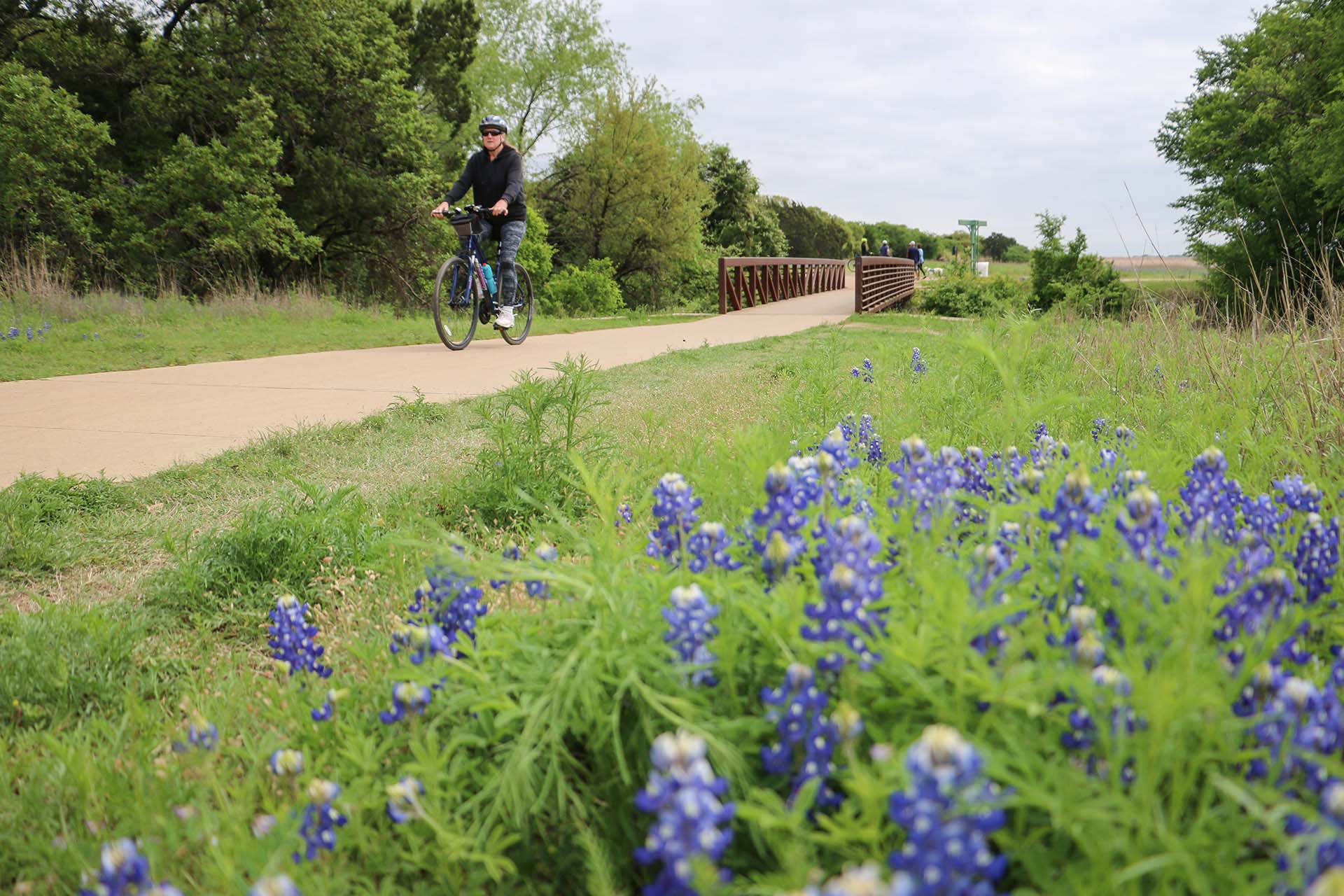 Cedar Park Chamber of Commerce