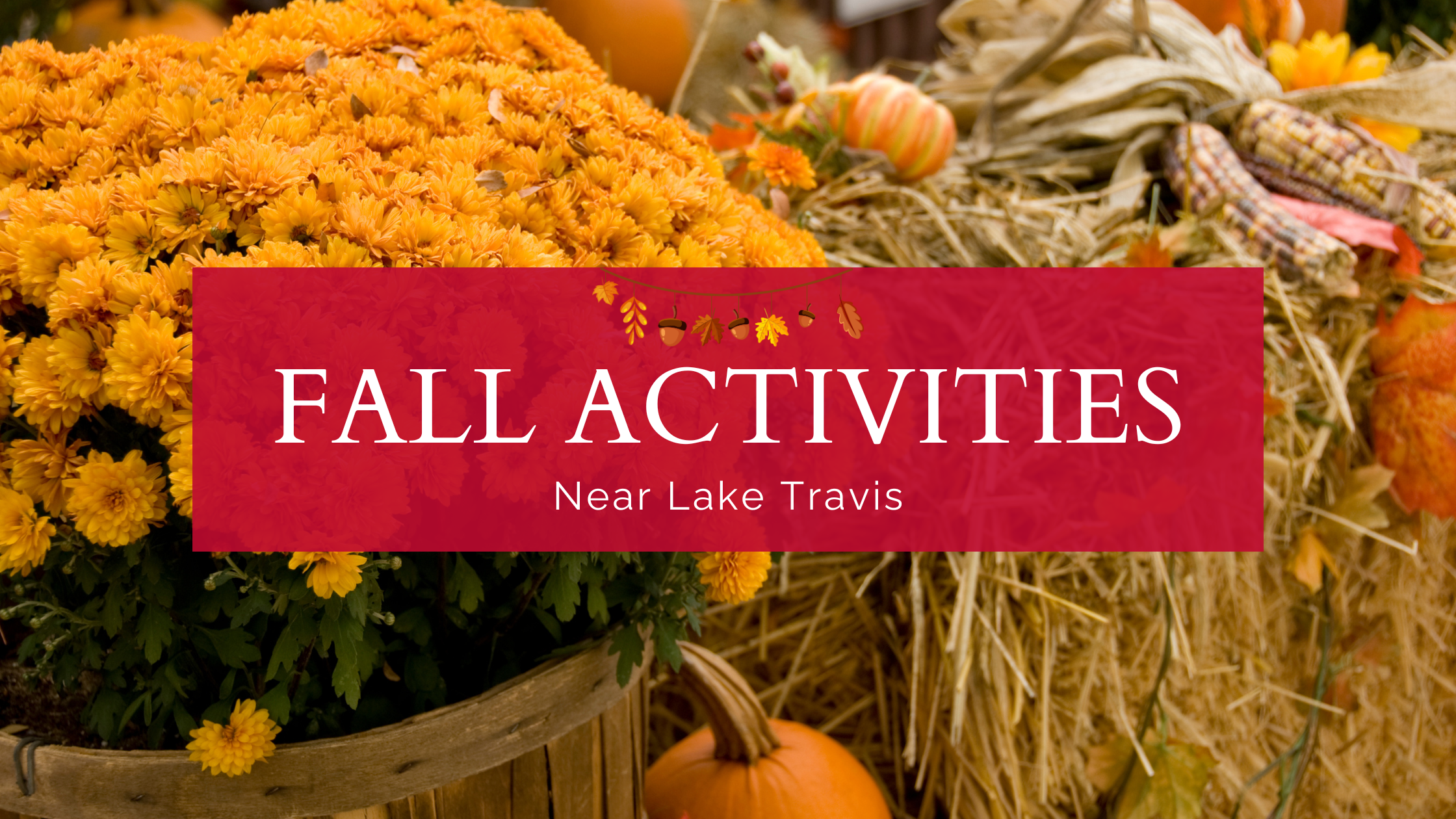 Fall Activities Near Lake Travis